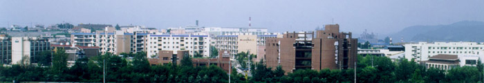 doori-1.jpg (33570 bytes)