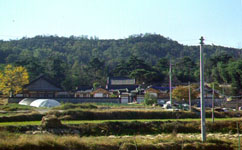 da1.jpg (43451 bytes)
