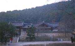 chusa1-1.jpg (42857 bytes)