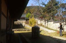 chusa10-1.jpg (50058 bytes)