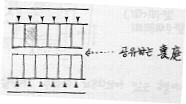 h-f5-16.jpg (14347 bytes)